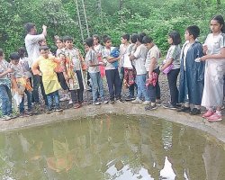 Std VI Field Trip - Sanjay Gandhi national Park